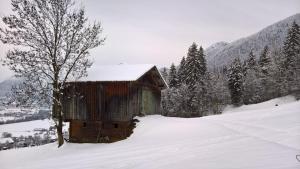 Holiday Home Zillertal - Haus Gigl v zimě