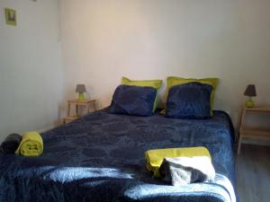 a bedroom with a bed with blue sheets and yellow pillows at Appartement L'Atypique in Pertuis