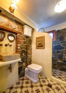 a bathroom with a toilet and a stone wall at Ta Petrina in Vourvourou
