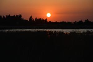 Fotografia z galérie ubytovania Cortijo Las Manoteras v destinácii El Puerto de Santa María