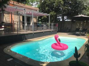 a swimming pool with a pink swan in the water at Allegria Nîmes in Nîmes