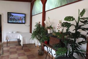 a room with a table with plants and a tv at Setnik Guesthouse in Valpovo