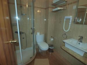 a bathroom with a shower and a toilet and a sink at Asteri Hotel in Livadi