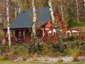 a red cabin in the woods with trees at Domek w Karkonoszach in Przesieka