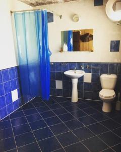 Valuntynė في Plokščiai: حمام من البلاط الأزرق مع مرحاض ومغسلة