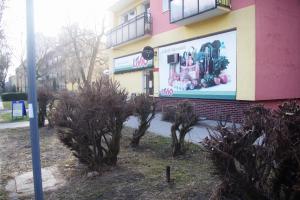 Ogród w obiekcie Apatramenty Promienista