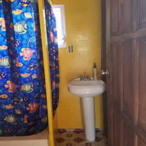a bathroom with a sink and a shower curtain at Palmento Grove Garifuna Eco-Cultural & Healing Institute in Hopkins