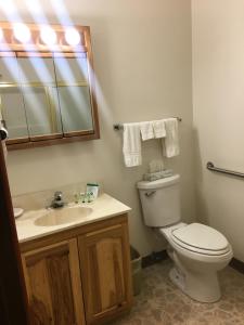 ein Badezimmer mit einem WC, einem Waschbecken und einem Spiegel in der Unterkunft Greenwood Village Inn & Suites in Kalispell
