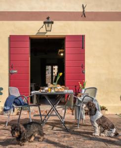 two dogs are standing next to a table and chairs at Foresteria Borgoluce in Susegana