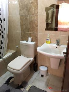 een badkamer met een toilet en een wastafel bij 1955 Heart of Jerash in Jerash