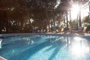 a large swimming pool with chairs and the sun shining at Camping Village Il Sole in Marina di Grosseto