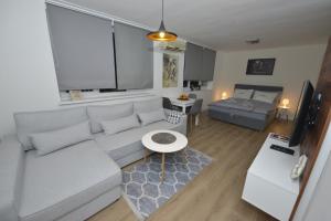 莫斯塔尔APARTMAN QUEEN的带沙发和床的客厅