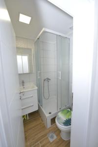 a bathroom with a shower and a toilet and a sink at APARTMAN QUEEN in Mostar