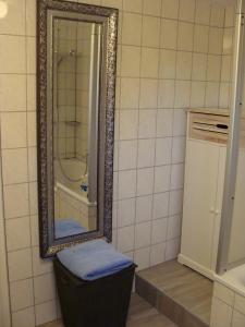 a bathroom with a mirror and a trash can at Ferienwohnung am Nationalpark in Hellenthal +21 photos