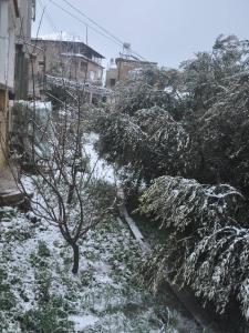 een sneeuwbedekte tuin met een boom en gebouwen bij Cosy Appartement in Majdal Shams