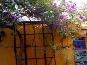 a tree with purple flowers in front of a building at Recámara rústica in Mexico City