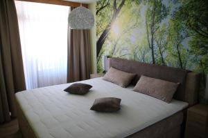 ein Schlafzimmer mit einem Bett mit zwei Kissen darauf in der Unterkunft Apartment Schluchsee in Schluchsee