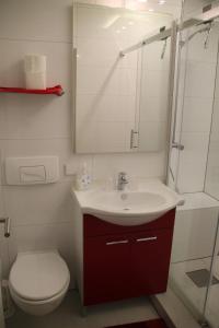 a bathroom with a sink and a toilet and a mirror at Apartment Schluchsee in Schluchsee