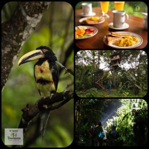 Galeriebild der Unterkunft Eden Treehouse in Mindo