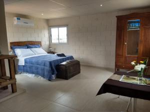 Un dormitorio con una cama y una mesa en una habitación. en Finca Las Pircas Casa de Adobe, en Famatina 31 fotos más