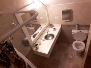 a bathroom with a sink and a toilet and a mirror at Mirador del Beagle Hosteria in Ushuaia