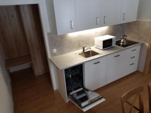 Kuchyň nebo kuchyňský kout v ubytování Apartmány Prima Nova Lake