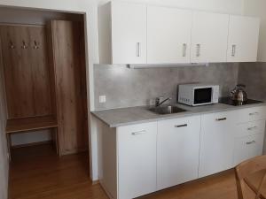 Kuchyň nebo kuchyňský kout v ubytování Apartmány Prima Nova Lake