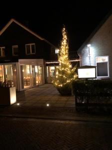 un arbre de Noël devant un bâtiment la nuit dans l'établissement De Viool, à Buren