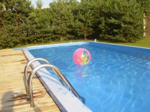 a swimming pool with a beach ball in the water at Svečiuose pas Arvydą in Klaipėda