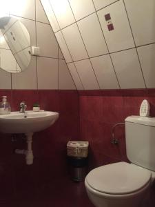 a bathroom with a toilet and a sink at U Haliny - Blisko Term & Gorącego Potoku in Szaflary