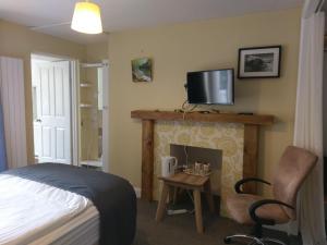 1 dormitorio con 1 cama y chimenea con TV en Gallery Guest House, en Plymouth