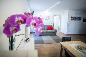 Afbeelding uit fotogalerij van Appartamento Alba in Dimaro