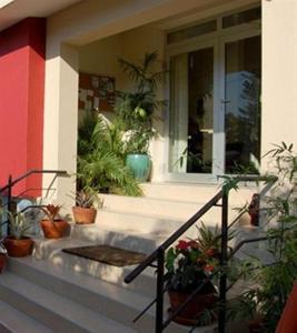 a house with potted plants on the stairs at Allamanda Hotel in Port-au-Prince +19 photos