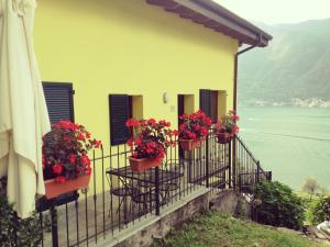 a house with flower pots on the balcony at Balcone dei Limoni in Nesso