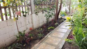 a garden with a fence and some plants at Hugo's relax home (Suite) in Ayangue