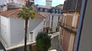 a palm tree on a city street with buildings at 13 Rue de la Fontaine F11 in Lourdes