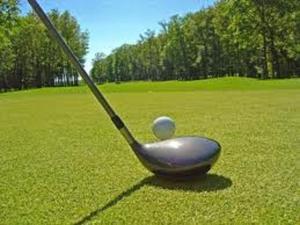 Golfaðstaða á hótelinu eða í nágrenninu