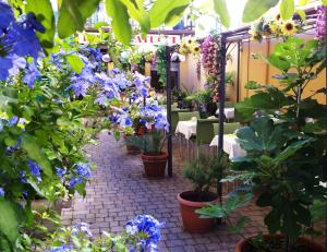 Giardino di Albergo Natucci