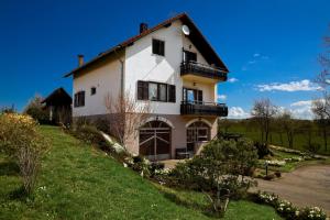 a large white house on a grassy hill at Apartments Tratinčica in Seliste Dreznicko