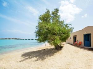 a tree on a sandy beach next to the ocean at Villa Aqua Blue 1 - Etheras properties in Diakofti