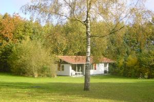 una pequeña casa blanca con un árbol en el patio en Vakantiebungalow Oase, en Exloo