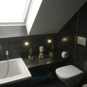 a bathroom with a sink and a toilet and a skylight at A&C Bergen in Luckau