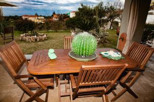 a wooden table with a cactus on top of it at Virginia Place in Athéras