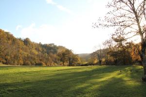 ein grünes Feld mit einem Baum in der Mitte in der Unterkunft Le Moulin de Benechou in Olemps