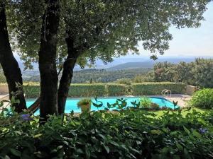 a swimming pool in a garden with a tree at Villa with private pool in Tourtour in Tourtour