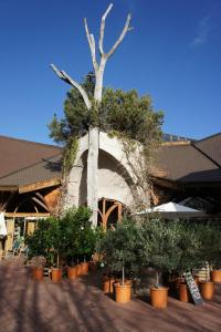 a tree in front of a building with potted plants at Naturata Hotel in Überlingen