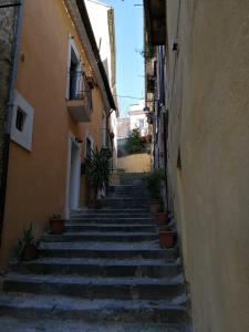 Foto dalla galleria di Old Garden a Cosenza