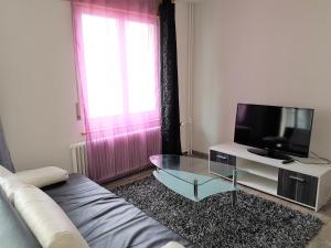 uma sala de estar com um sofá e uma televisão em Family friendly Apartment in the heart of Interlaken em Interlaken