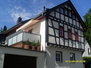 a black and white building with potted plants on a balcony at Ferienhaus Langenhecke 18 in Bad Münstereifel