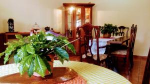 a dining room with a table with a plant on it at Hostel Café in Caparaó Velho
